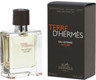 Hermès Terre d'Hermès Eau Intense Vétiver parfumovaná voda pre mužov 100 ml